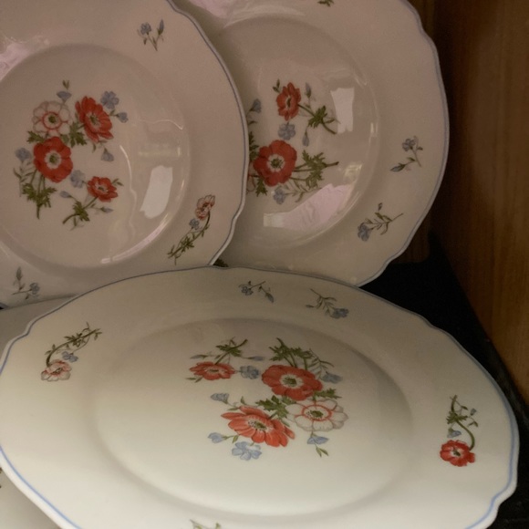 Arcopal Paradise glass dinner plate - Picture 5 of 8